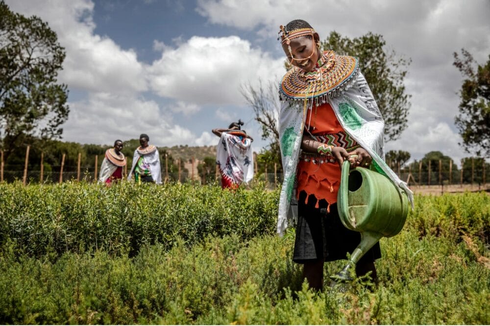 gender gap in agrifood