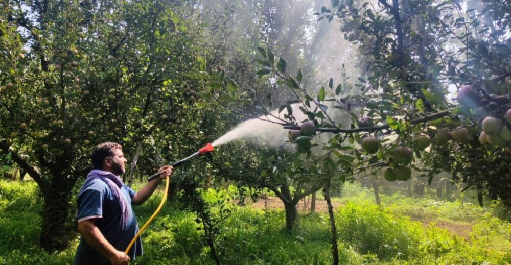 Precision Orchard Spraying Insecticides Market Forecast