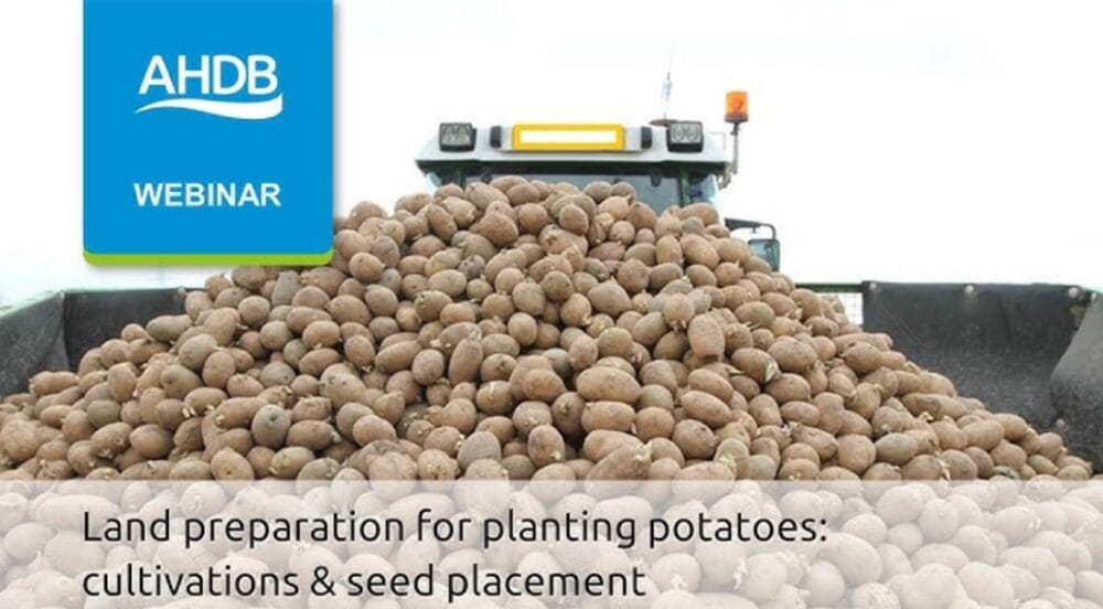 AHDB to launch new web-based BYDV management tool