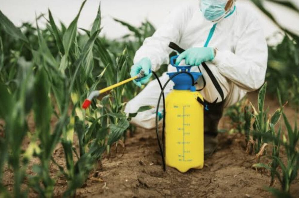 Soybean Nematode Control Insecticides Market Forecast