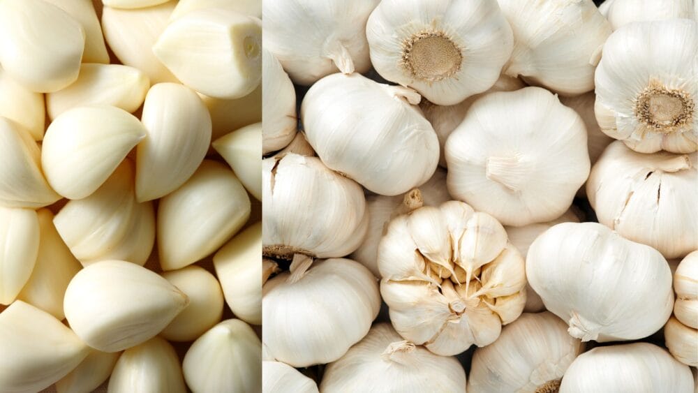 Which City is Known as the Garlic Capital of the World?