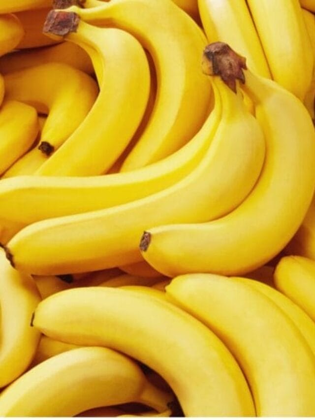 Top 10 Banana Producing Countries