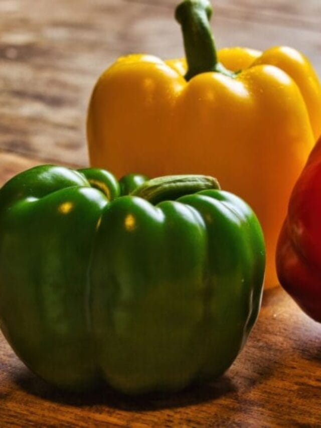 Capsicum Farming Guide for High Yield