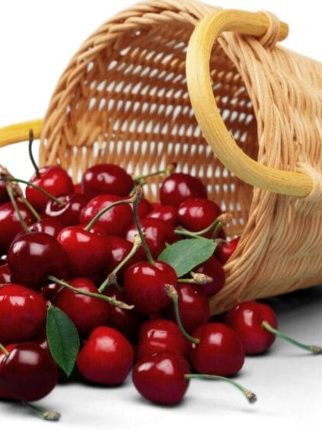 Cherry Cultivation: A Complete Guide to Sweet Success