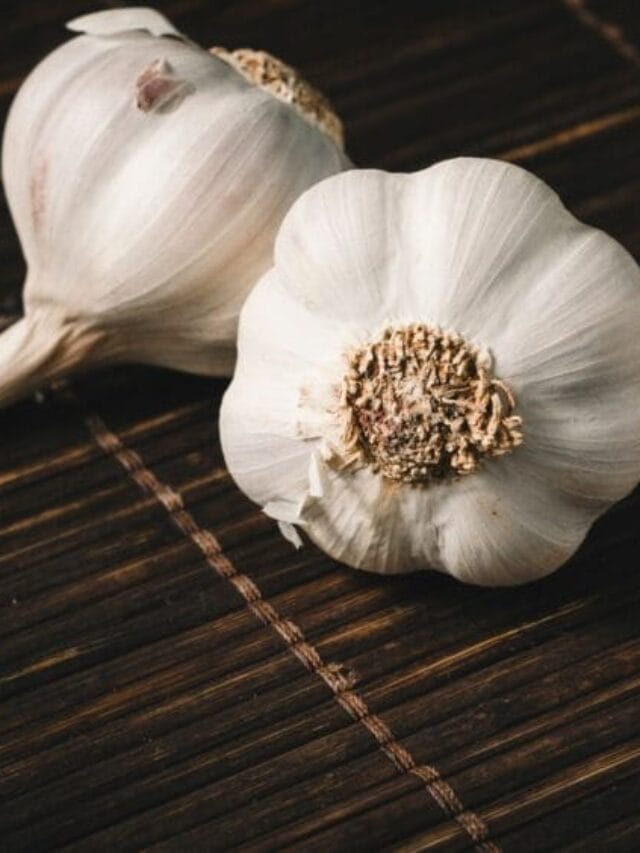 Garlic Cultivation Guide