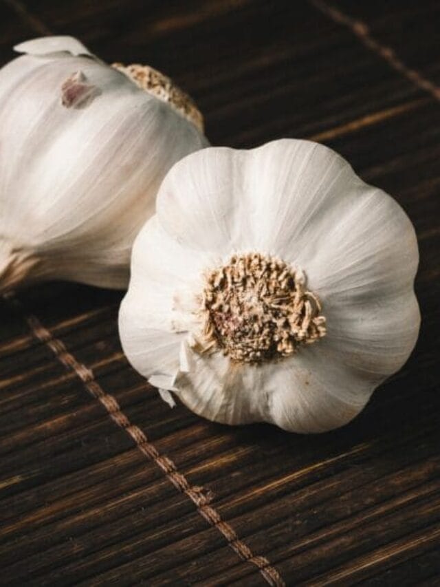 Which City is Known as the Garlic Capital of the World?