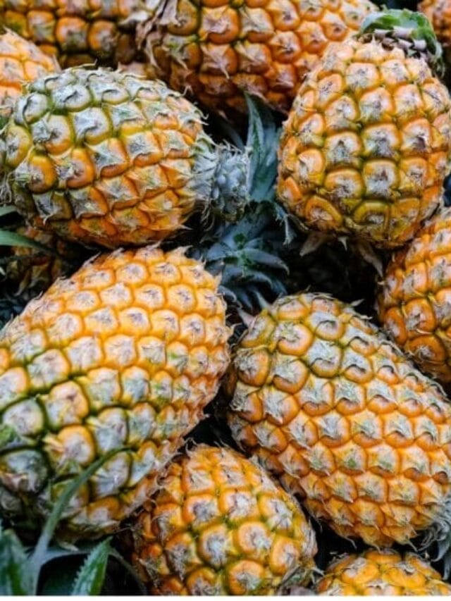Top 10 Pineapple Producing Countries