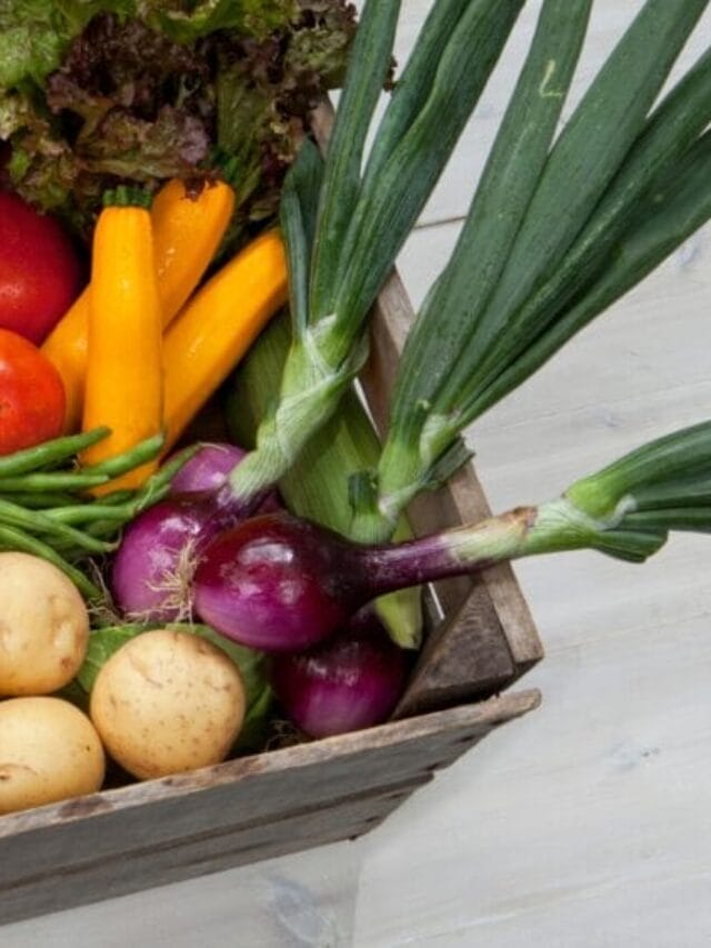 Best Vegetables to Grow in Summer Season