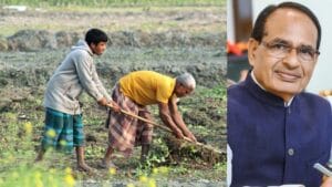 Major Agriculture Reforms Announced: Easier Fertiliser Approval, Digital Imports & AI for Farmers