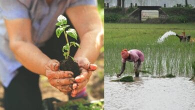 Why Agri-Input Dealers Are More Important Than Ever in Today’s Uncertain Farming Landscape!