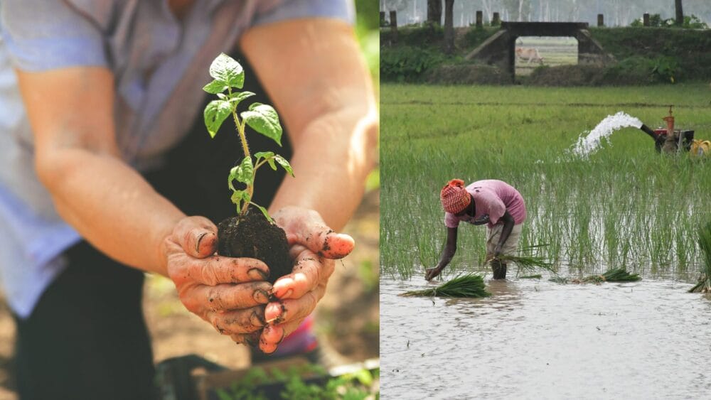 Why Are Agri-Input Dealers More Important Than Ever in Today’s Uncertain Farming Landscape?