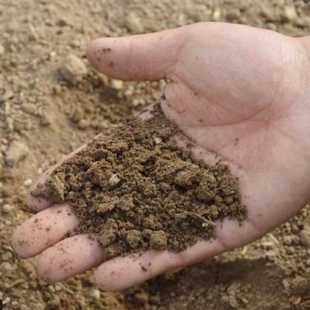 India promotes balanced fertiliser use as global supply fears raise costs!