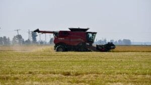 Why This Has Become One of the Toughest Years for U.S. Rice Farmers?