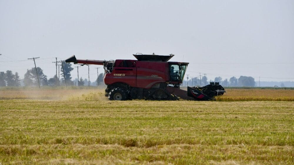 Why This Has Become One of the Toughest Years for U.S. Rice Farmers?