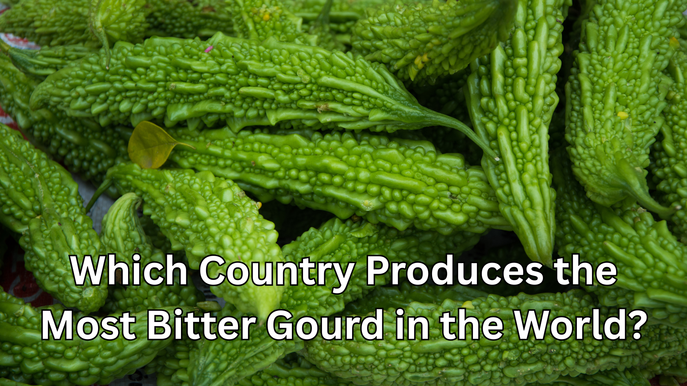 Which Country Produces the Most Bitter Gourd in the World?