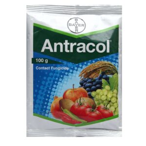 Antracol Fungicide (Propineb 70% WP) - pradhanagro.co.in
