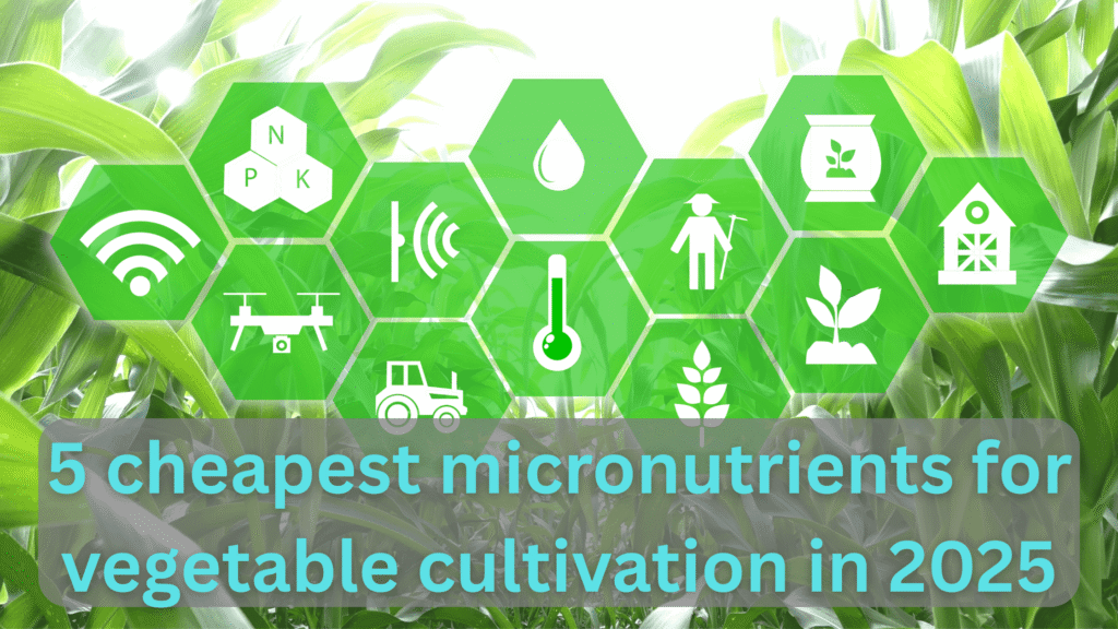 best micronutrients for plants